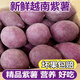 風(fēng)車車農(nóng)場(chǎng)越南品種小紫薯 珍珠紫薯 地瓜 廣西種植現(xiàn)挖紫羅蘭紫薯 3斤小果