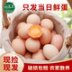 白蕩里高品質(zhì)土雞蛋蟲(chóng)草蛋鮮蛋  營(yíng)養健康現撿現發(fā) 土雞蛋20枚