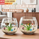 貝初眾魚(yú)缸小型魚(yú)缸圓形塑料缸仿玻璃一體生態(tài)桌面缸家用客廳金魚(yú)斗魚(yú)缸 輕巧高透魚(yú)缸 24*18.5*19.5cm【大號】 高透pet仿玻璃材質(zhì) 裸缸 打不破 摔不碎 久用不糊