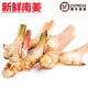 曠古農(nóng)業(yè)【順豐】新鮮南姜 白皮南姜 泰式冬陰功湯食材調(diào)料香料 1000g