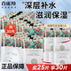 百雀羚（PECHOIN）面膜女 三生花貼片面膜 補水保濕提亮膚色細致清潔毛孔免洗護膚品 山茶花面膜30片