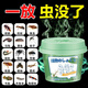 銳洲殺蟲(chóng)劑室內家用驅蟲(chóng)除蟲(chóng)小飛蟲(chóng)克星神器滅蟑螂全窩端 5盒【蟲(chóng)子全跑光】