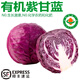 諸氏橙品【有機】紫甘藍 現(xiàn)摘紫包菜卷心菜 新鮮蔬菜生吃沙拉涼拌食材 （3份*500g/份）調(diào)色，風味更佳