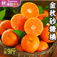 夢(mèng)茜兒金秋砂糖橘 9斤冰糖小蜜桔子新鮮薄皮甜蜜早熟沙糖水果廣西特產(chǎn) 1斤 小果
