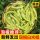 辰實(shí)【現(xiàn)貨】野山椒 廣西新鮮小米辣椒 朝天椒 泡椒 白米椒 2斤 【現(xiàn)摘現(xiàn)發(fā)】