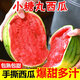 農根蔬2k手剝西瓜2025香甜可口汁水充盈山東冰糖小西瓜農場(chǎng)直發(fā) 5-6斤（1-2個(gè)）