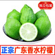 (直郵）廣東香水檸檬一級果新鮮奶茶店香水青檸檬應(yīng)季 青檸檬 3斤重-中大果