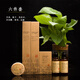 民宿洗漱用品套裝一次性牙刷牙膏大全牛皮紙卡盒酒店專(zhuān)用旅行待客 【50套】牛皮紙卡盒六件套 民宿系列