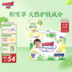 大王【品牌直供 安心品質(zhì)】天使自然之恩紙尿褲XL34片(12-17kg)尿不濕