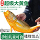太湖?！境卮簏S魚】野化黃花魚王 冰生鮮活寧德深海魚類春節(jié)年貨送禮 3斤/條【4年魚 大魚王】