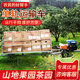 山地果園軌道運(yùn)輸機(jī) 全地形單軌運(yùn)輸車 自走式果園軌道小火車 汽油動(dòng)力定金