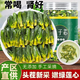 伊梵麥【特級(jí)新A貨】今年特級(jí)蓮子芯茶特一級(jí)新鮮清熱肝火旺心火 20克【蓮子心】新貨