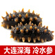 千品淳 大連【冷水鮮食】遼刺參7-9年即食海參  獨(dú)立包裝 7-8只/斤(約8-9生) 2斤裝