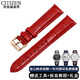 適用西鐵城手表帶原裝真皮光動(dòng)能藍天使空中之鷹騷橙男女防水表鏈 紅色+玫瑰金色扣 12mm表帶接口寬度