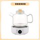 養生壺辦全自動(dòng)玻璃煮茶器多功能電燉鍋家用燒水壺花茶壺110V跨境 智能玻璃壺 1.5L 110V美規-雙插頭【現貨】