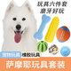 哇米薩摩耶專用玩具套裝狗狗耐咬發(fā)聲寵物狗磨牙玩具小型犬解悶成幼犬 薩摩耶玩具六件套
