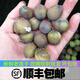 良知農哥 【順豐】湖南新鮮老蓮子米無(wú)蓮蓬成熟褐色蓮子米帶殼芯現摘 4斤（默認不開(kāi)殼，需開(kāi)殼備注）