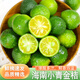 鯨蚨源海南小青金桔新鮮金橘酸爽皮薄多汁當(dāng)季新鮮泡水青桔青橘水果酸 1斤嘗鮮裝