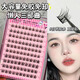 萌睫尚品免膠假睫毛太陽(yáng)花懶人三部曲眼睫毛自然仿真單簇學(xué)生女新手初學(xué)者 超大免膠三部曲100簇 帶鑷子