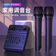 DOSS家用聲卡套裝適用于德仕藍(lán)牙全景音音箱無(wú)線K歌聲卡外置調(diào)音臺(tái)混響唱歌音響使用 【M3聲卡套裝】送麥克風(fēng)