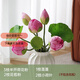 LZJV荷花仿真花手感荷葉pu蓮蓬蓮花假花客廳擺件水池裝飾造景拍攝道具 半開(kāi)荷花粉色混合 8支 現代簡(jiǎn)約裝飾