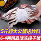鮨京【漁港直發(fā)】梭子蟹鮮活冷凍螃蟹新鮮肉母蟹飛蟹白蟹海鮮水產(chǎn) 【大公5斤】梭子蟹(約8~14只)