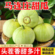 馬連莊甜瓜香瓜甜寶甜瓜脆甜山東應季甜瓜香瓜新鮮羊角蜜 蜜甜甜瓜4.5-5斤大果(6-9個(gè))
