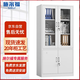 施爾福 文件柜鐵皮柜辦公柜鋼制資料柜檔案柜儲(chǔ)物柜大器械文件柜常規(guī)款