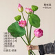 微光里荷花仿真花供花佛前佛堂蓮花裝飾擺件客廳蓮蓬花束高品質(zhì)假花擺設(shè) 仿真荷花荷葉【粉色套裝】