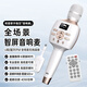 TIPDOER話(huà)筒音響一體麥克風(fēng)自帶聲卡【K歌推薦】音響麥家庭ktv音響套裝卡拉OK歌無(wú)線(xiàn)藍牙唱歌錄歌家用戶(hù)外 至尊版【40W功率】25款 店長(cháng)推薦