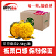 哪咤豆豆真貝貝南瓜 栗香小南瓜香甜軟糯新鮮蔬菜生鮮粉糯甜香粗糧生鮮 貝貝南瓜 5斤