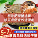 【活蟹發(fā)貨】青島梭子蟹 鮮活螃蟹母蟹公蟹飛蟹海鮮生鮮 中秋送禮 【包肥】紅膏硬黃母蟹3斤共5-7只
