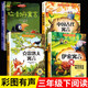 正版快樂讀書吧三年級下冊伊索寓言克雷洛夫寓言中國古代寓言小學(xué)生課外閱讀童話故事書籍全套