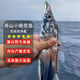 鮮源瀾灣 舟山小眼帶魚 舟山油帶魚 釣帶 海捕帶魚特級(jí)帶魚生鮮 生鮮魚類 小眼油帶魚3斤(3-5條)
