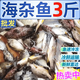【現捕現發(fā)】青海鮮活海雜魚批發(fā)新鮮深海魚大雜燴海鮮水產 3斤裝 海雜魚