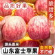 正宗山東紅富士蘋(píng)果煙臺甜水果【脆甜多汁】當季孕婦兒童新鮮包郵 5斤【嘗鮮】（單果75mm+含75mm凈重4.5-5斤）