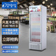 達克斯【出口單 清倉】數量有限 一級冷藏保鮮展示柜立式商用玻璃門(mén)超市便利店冰箱風(fēng)直冷啤酒飲料柜 LG-300【一級能效】
