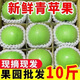 卉雙青蘋(píng)果新鮮10斤應季薄皮多汁整箱嘎啦脆爽酸脆甜青皮孕婦平果整箱 青蘋(píng)果 帶箱2.5-3斤精選