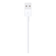 【9成新】Apple/蘋(píng)果 閃電轉 USB 連接線(xiàn) (1 米)  手機 平板 數據線(xiàn) 充電線(xiàn)