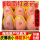 果戀匯（GUOLIANHUI）現(xiàn)貨海南三亞玉文芒紅玉芒當(dāng)季新鮮水果紅芒大芒果蘋(píng)果芒整箱禮盒 精選10斤普通裝