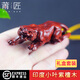 莆匠 印度小葉紫檀老虎手把件木雕文玩把玩件生肖虎掛件 創(chuàng  )意生日禮物