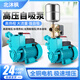 北沐楓家用自吸泵220V小型自來(lái)水管道加壓泵循環(huán)水井抽水泵機高壓增壓泵 1100W手動(dòng)款-不銹鋼軸
