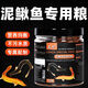 龍年魚(yú)食黃金泥鰍飼料觀(guān)賞泥鰍專(zhuān)用飼料小金龍黃金鰍飼料下沉魚(yú)糧 大瓶【凈重180克】泥鰍魚(yú)專(zhuān)用