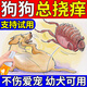 本元星狗狗身上癢的藥寵物真菌感染蜱蟲狗癬止癢噴霧去狗狗跳蚤蜱蟲專用 100ml 3瓶