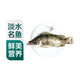 鮮活桂魚400-500g/條