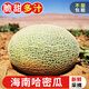 探味君 海南哈密瓜 新鮮水果當季蜜瓜整箱生鮮 9斤凈重8.5-9斤 【超值裝】吃貨專(zhuān)享