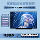 適用惠普戰(zhàn)66 1/2/3/4/5/6/7/8代G1G2 G3 G4 G5 440 G6/G7/G8屏幕 15.6英寸 IPS100%sRGB