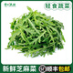 芝麻菜新鮮芝麻葉沙拉蔬菜食材輕食西餐生菜食用火箭菜 250g