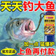 葉余釣魚(yú)黑科技專(zhuān)研鯽魚(yú)餌料野釣秘籍通殺鯽魚(yú)鯉魚(yú)草魚(yú)釣餌 (適用野釣 黑坑 海釣 貴(強力誘魚(yú))一瓶