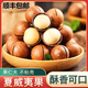 邊塞樓蘭云南夏威夷果堅(jiān)果新貨大顆粒奶油500g年貨干果零食整箱禮盒 甄選2斤袋裝出口級(jí)